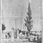 1966